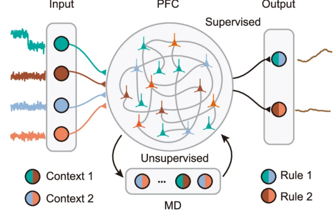 A Thalamocortical Model for Contextual Inference